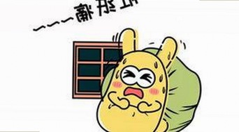 朱一龙与粉丝同心助力寻回走失狗狗，娱乐圈温情一幕