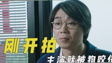 明星事件发展全纪录：从争议到现状的时间线回顾