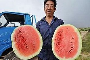 娱乐圈内幕揭秘：明星背后的不为人知故事